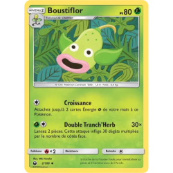Boustiflor CES - 002/168