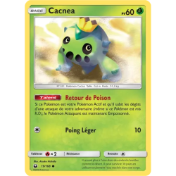 Cacnea CES - 019/168