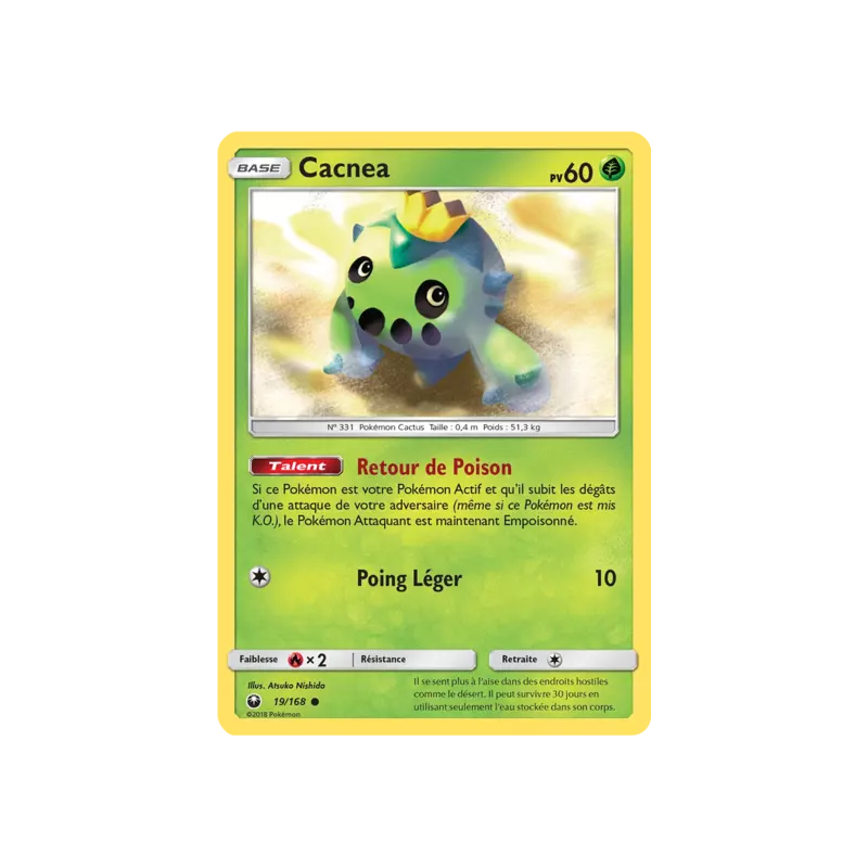 Cacnea CES - 019/168