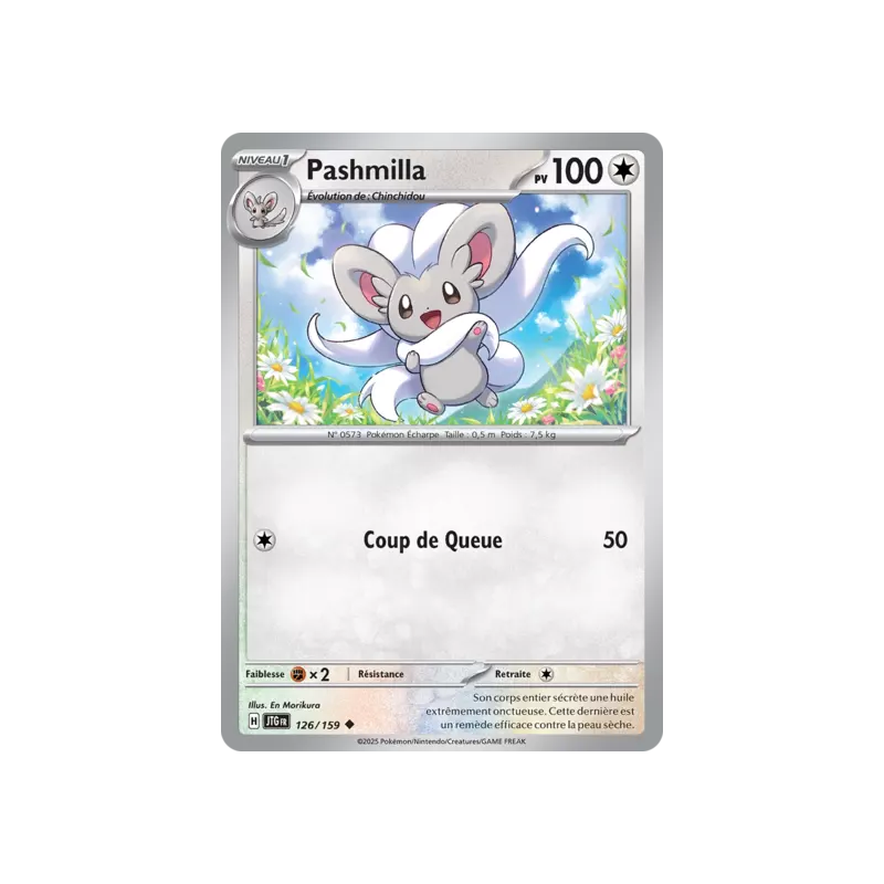 Pashmilla JTG - 126/159
