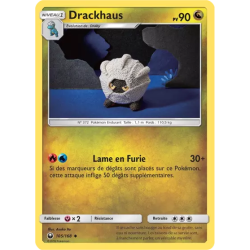 Drackhaus CES - 105/168