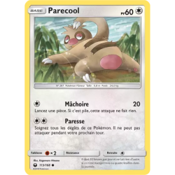 Parecool CES - 113/168