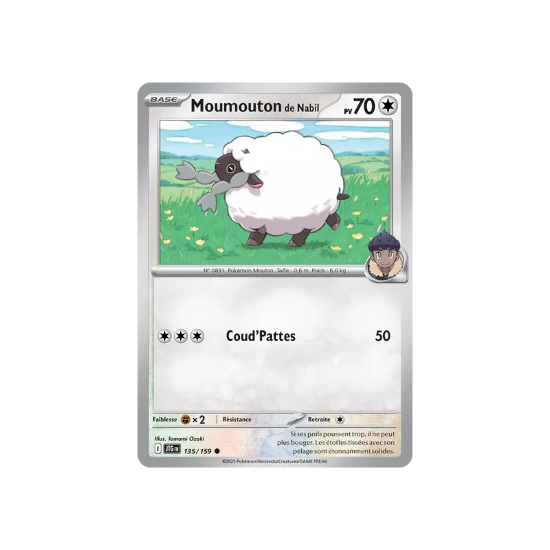Moumouton de Nabil JTG - 135/159
