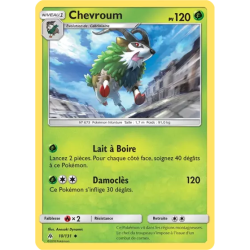 Chevroum FLI - 010/131