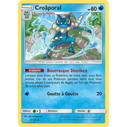 Croâporal FLI - 023/131