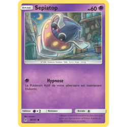 Sepiatop FLI - 050/131
