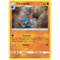 Carmache FLI - 061/131