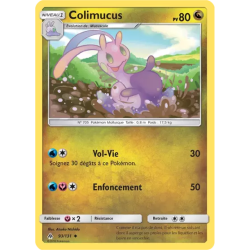 Colimucus FLI - 093/131