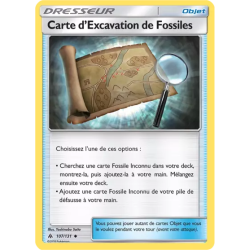 Carte d'Excavation de Fossiles FLI - 107/131