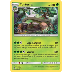 Torterra UPR - 009/156