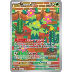 Maracachi JTG - 160/159