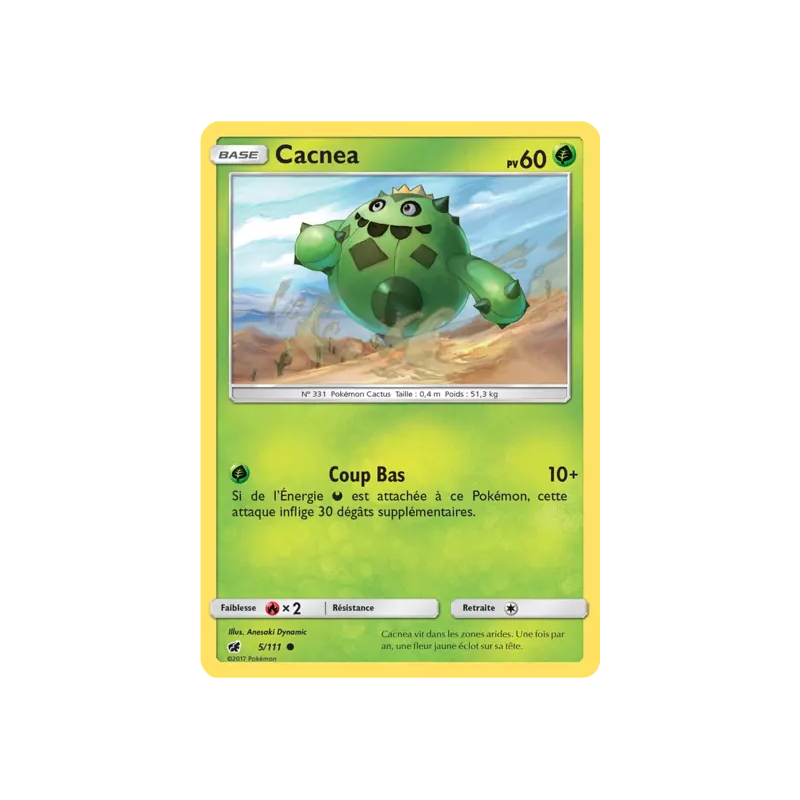 Cacnea CIN - 005/111