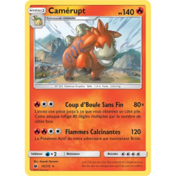 Camérupt CIN - 014/111
