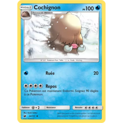Cochignon CIN - 020/111