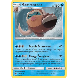 Mammochon CIN - 021/111