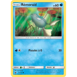 Rémoraid CIN - 022/111