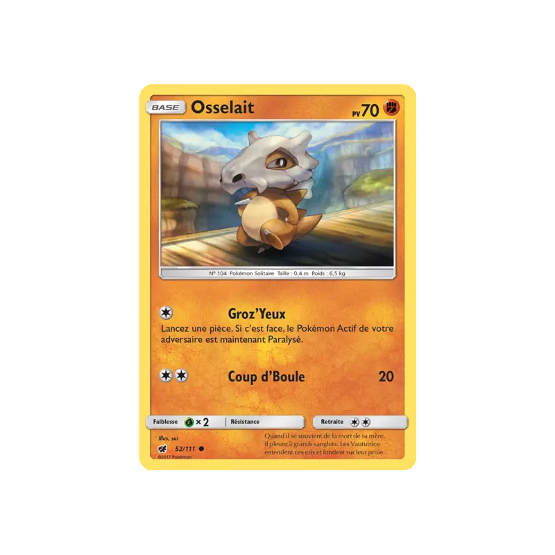 Osselait CIN - 052/111
