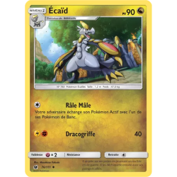 Écaïd CIN - 076/111