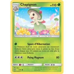 Chapignon SLG - 05/73
