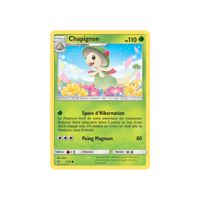 Chapignon SLG - 05/73
