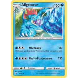 Aligatueur SLG - 20/73