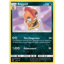 Baggaïd SLG - 51/73