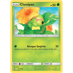 Chenipan BUS - 001/147