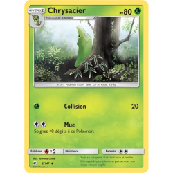 Chrysacier BUS - 002/147
