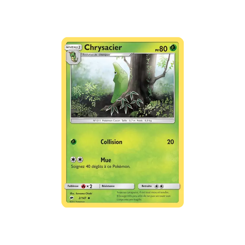 Chrysacier BUS - 002/147