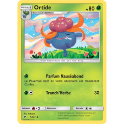 Ortide BUS - 005/147