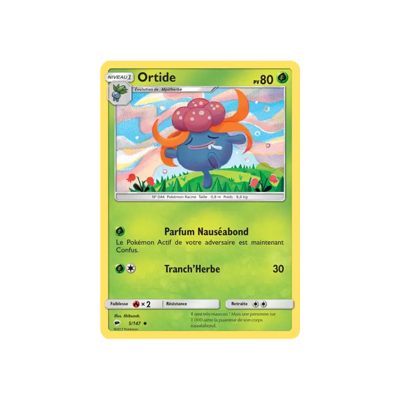 Ortide BUS - 005/147