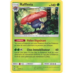 Rafflesia BUS - 006/147
