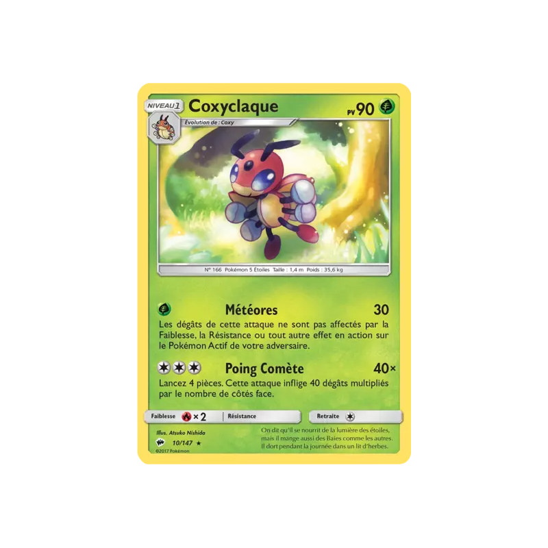 Coxyclaque BUS - 010/147
