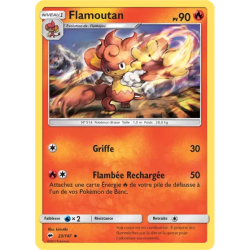 Flamoutan BUS - 023/147