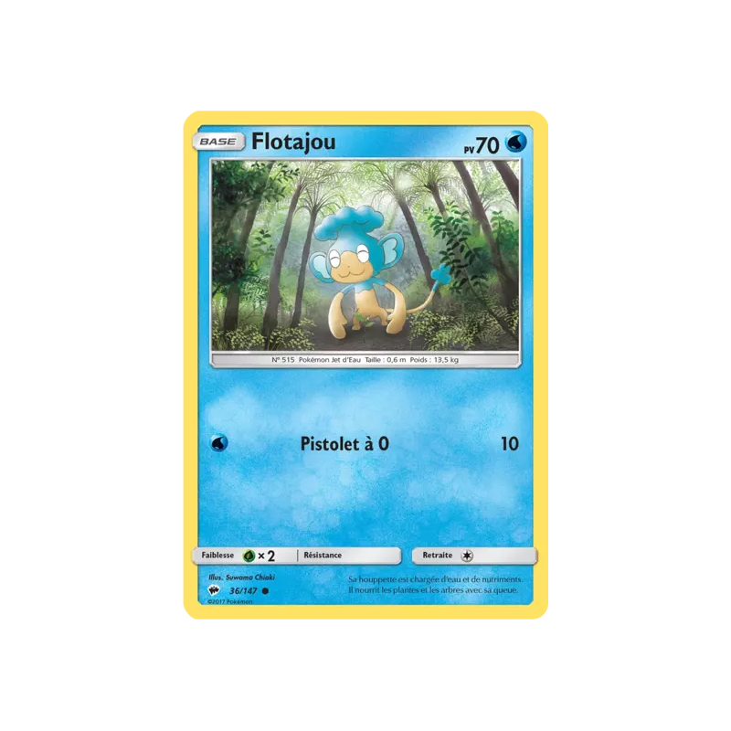Flotajou BUS - 036/147