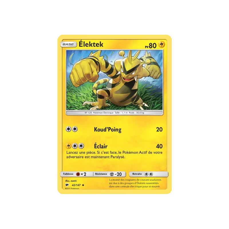 Élektek BUS - 042/147