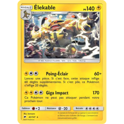 Élekable BUS - 043/147