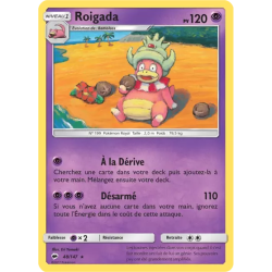 Roigada BUS - 048/147