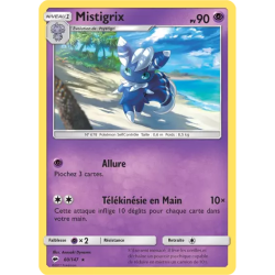Mistigrix BUS - 060/147