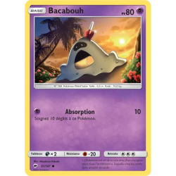 Bacabouh BUS - 061/147