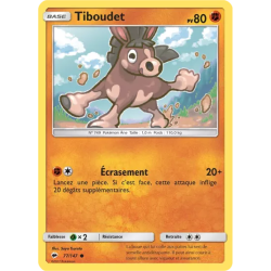 Tiboudet BUS - 077/147