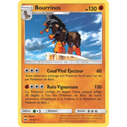 Bourrinos BUS - 078/147
