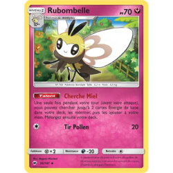 Rubombelle BUS - 096/147