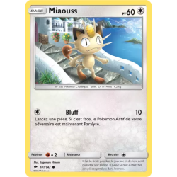 Miaouss BUS - 101/147