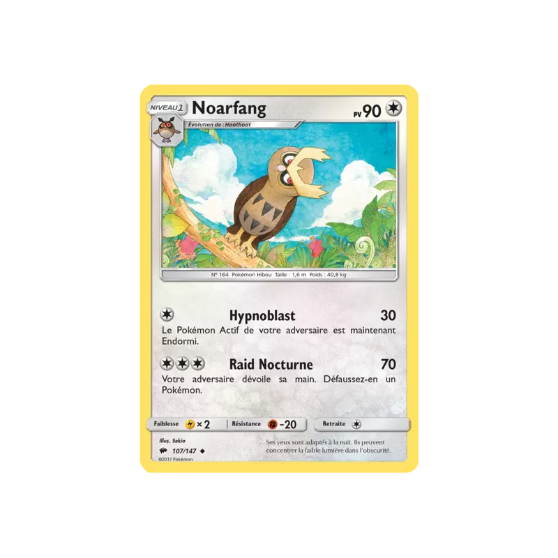 Noarfang BUS - 107/147