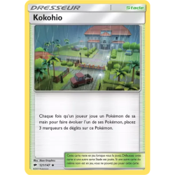 Kokohio BUS - 121/147