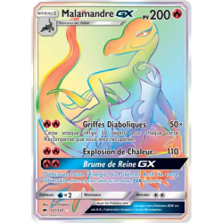 Malamandre GX BUS - 151/147