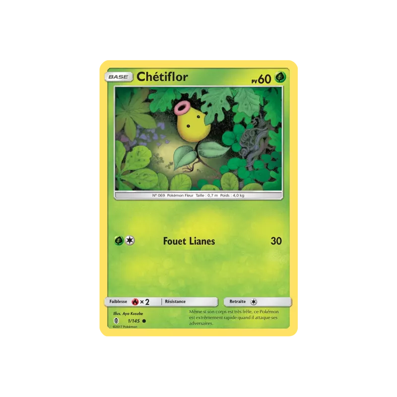 Chétiflor GRI - 001/145