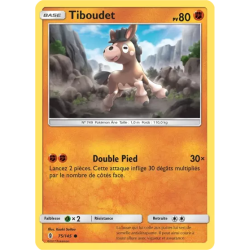 Tiboudet GRI - 075/145