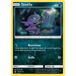 Ténéfix GRI - 080/145